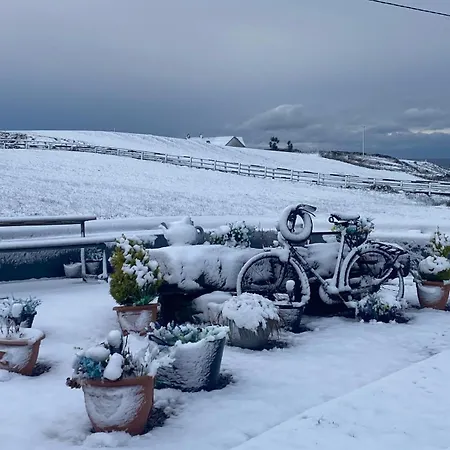 Glasha Meadows فندق مبيت وإفطار دولين