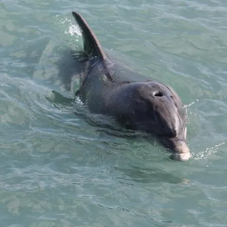 Glasha Meadows B&B 둘린