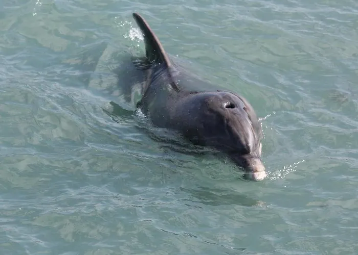 Glasha Meadows Bed & Breakfast Doolin